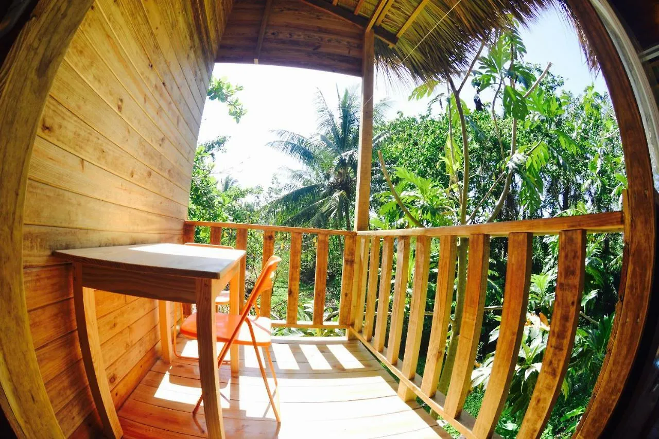 Mango House Kite Apartments Kite Beach Cabarete 0*,  Dominicaanse Republiek